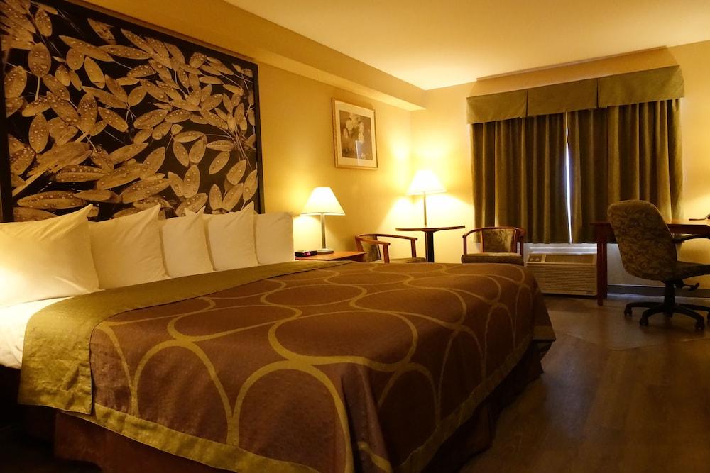 Super 8 By Wyndham Sault Ste Marie On Hotel Bagian luar foto