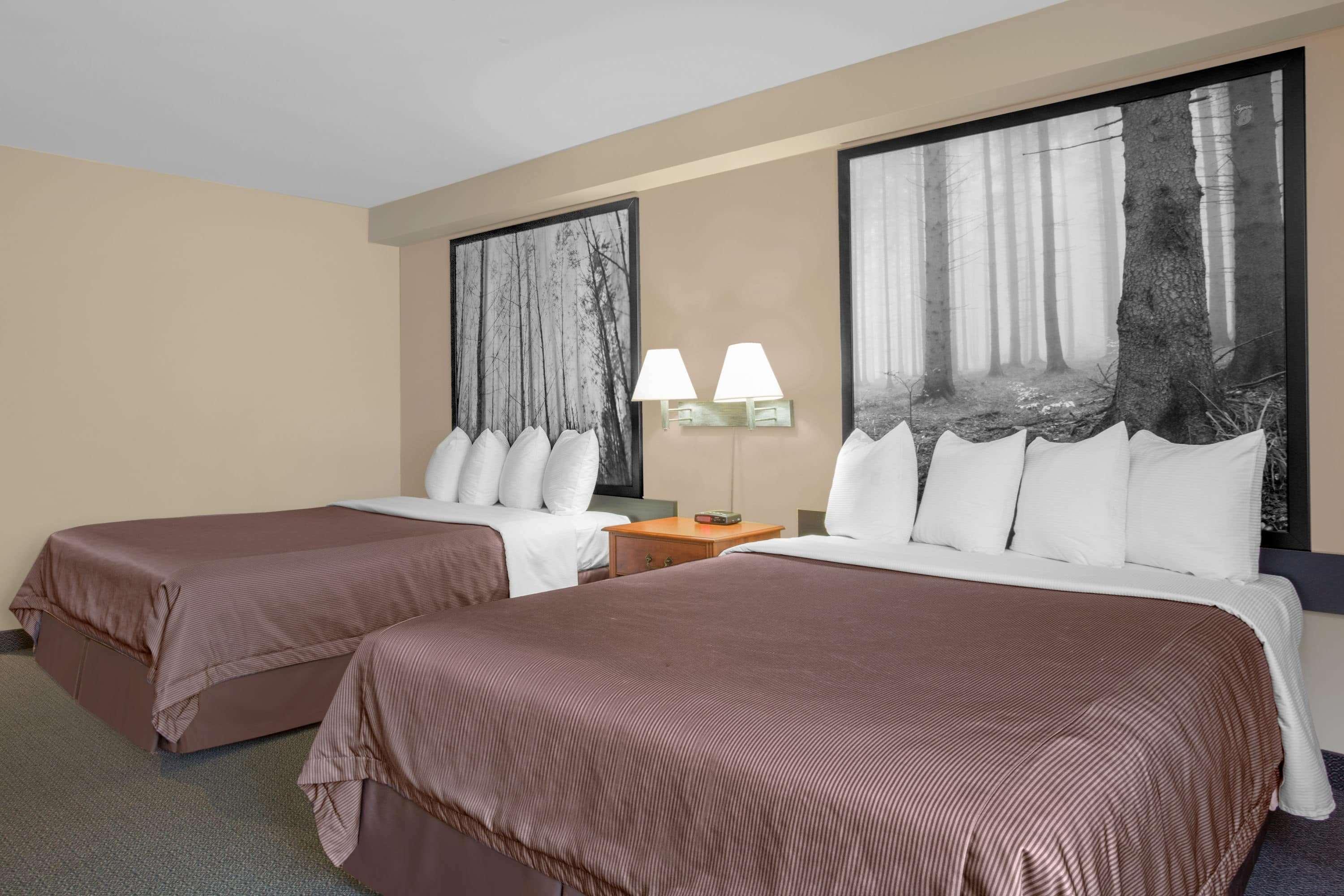 Super 8 By Wyndham Sault Ste Marie On Hotel Bagian luar foto